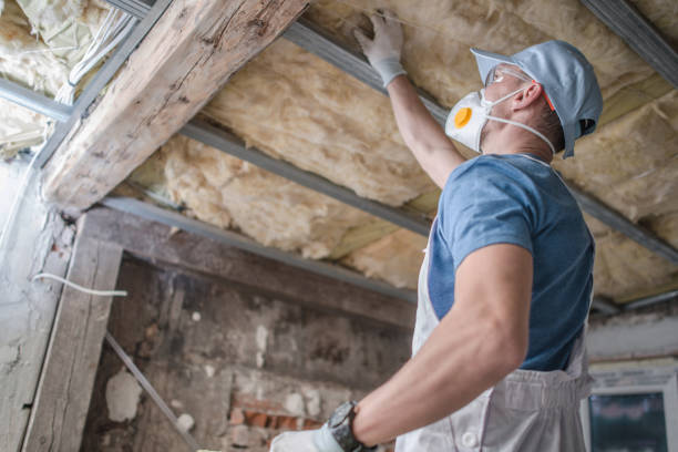 Best Residential Insulation in East Meadow, NY